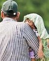 तपी दिल्ली, आयानगर में तापमान 45 डिग्री के पार16