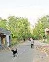 बदरपुर क्षेत्र की सात लाख की आबादी सरकारी कालेज और अस्पताल से वंचित75