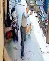 कुत्ते के हमले में बुजुर्ग गली में गिरे, घायल71