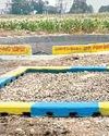 कुआं रिचार्ज में मॉडल बनी सिवनी की देवरीटीका ग्राम पंचायत27