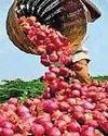 वैश्विक बाजार में भारतीय प्याज पर नया खतरा52