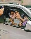 दो शराबी सिपाहियों ने महिला थाना प्रभारी से की अभद्रता28