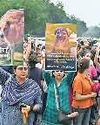 पशु प्रेमियों ने सीपी में निकाला विरोध मार्च83