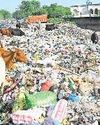 विशेष सफाई अभियान में भी नहीं हट पा रहा कूड़ा79