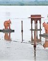 पानी घटा, अब बढ़ी बीमारियों की आशंका पानी घटा, अब बढ़ी बीमारियों की आशंका17