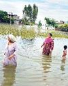 पंजाब को बाढ़ से 13 हजार करोड़ की क्षति पंजाब को बाढ़ से 13 हजार करोड़ की क्षति51