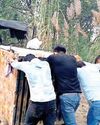 तेंदुआ पकड़ने को बायोडावर्सिटी पार्क के आस पास लगेंगे पिंजरे तेंदुआ पकड़ने को बायोडावर्सिटी पार्क के आस पास लगेंगे पिंजरे70