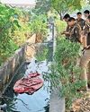 विवाहिता की सिर, हाथ काटकर निर्मम हत्या, नाले में मिला धड़ विवाहिता की सिर, हाथ काटकर निर्मम हत्या, नाले में मिला धड़72