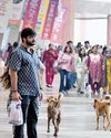 आवारा कुत्तों को लेकर सुप्रीम कोर्ट के आदेशों की मेले में हो रही अवहेलना91