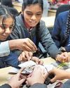 छात्राओं को आइआइटी में सीखने का मिला मौका छात्राओं को आइआइटी में सीखने का मिला मौका74