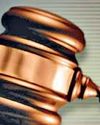 बच्चे पर हमला करने वाले कुत्ते के मालिक और एमसीडी से हाई कोर्ट ने मांगा जवाब16
