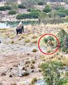 हाथियों से पेराबंदी करा मंत्रियों ने बाधे वादे के दौदार41