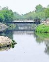 नजफगढ़ ड्रेन के दोनों तरफ तटों पर बनेगी सड़क25