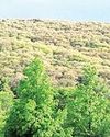 इको टूरिज्म सेंटर के रूप में विकसित होगा अरावली की गोद में बसा भारत यात्रा केंद्र इको टूरिज्म सेंटर के रूप में विकसित होगा अरावली की गोद में बसा भारत यात्रा केंद्र92