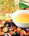 इंडोनेशिया की ईंधन नीति में बदलाव से खाद्य तेल की आपूर्ति पर प्रतिकूल असर संभव56