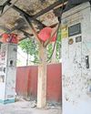 राजधानी में आकलन से आधे भी नहीं हैं चार्जिंग प्वाइंट, कई जगह पड़े हैं खराब राजधानी में आकलन से आधे भी नहीं हैं चार्जिंग प्वाइंट, कई जगह पड़े हैं खराब66