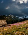 SHOOT STUNNING SPRING LANDSCAPES