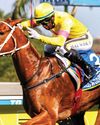 Botes not forgot at Vaal