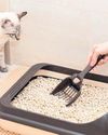 Cleaning hacks for pet hair and paw prints