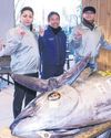 Massive tuna sold for R24m