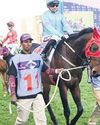 Favourite Oriental Charm gets good draw