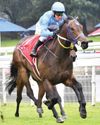 Greaterix ready for the Guineas