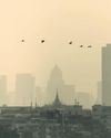 Nearly 200 schools close over pollution