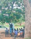 Classes under trees in Limpopo Classes under trees in Limpopo13