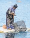 Fishermen badly hit