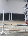 Syrians chase equestrian glory in sport once dominated by Assads6