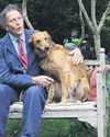 Chelsea Flower Show gives man's best friend doggie heaven5