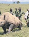 Rhinos are 'worst to move'6