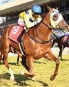 Immediate Edge Now in Top 20 for Durban July50