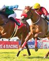 Early tips for Sha Tin Early tips for Sha Tin
