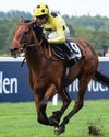 Day-by-day guide to Royal Ascot41
