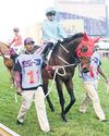 Eight On Eighteen in the final 1810