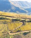Pedalling over 250km takes some grit32