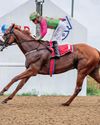 Greeff takes best shot at July50