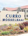 Curro's ambitious plan47