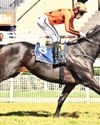 Youngsters Face Stern Handicap Tasks at Vaal66