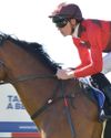 Jan is the Guineas man Jan is the Guineas man51