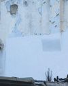 Banksy unveils latest mural47