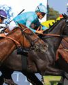 King's Plate race day lives up to the hype48