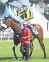 Tradition, heritage and good breeding at King’s Plate12
