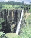 Howick Falls the jewel in push to bring back tourists12
