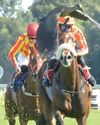 Craig set for a 'Lucky' meeting at Turffontein45