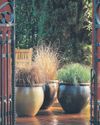 Green, green grass of home36