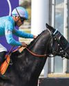 Derby brings end to Cape season75