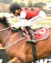 Fillies dominate 3yo features73