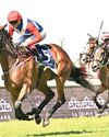 Many options for bettors Many options for bettors44